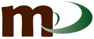 MELSE Logo